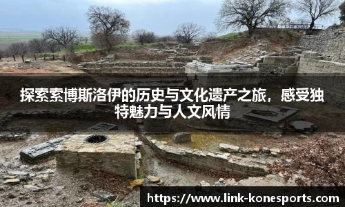 k1体育官方网站
